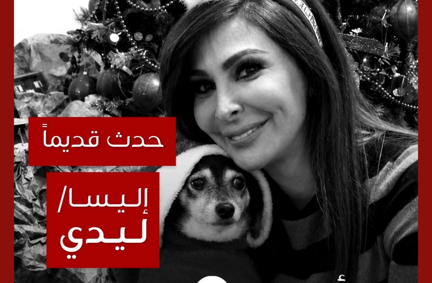 حدث قديماً: إليسا وكلبتاها ليدي وستار